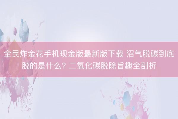 全民炸金花手机现金版最新版下载 沼气脱碳到底脱的是什么? 二氧化碳脱除旨趣全剖析