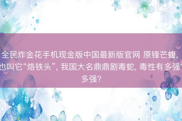 全民炸金花手机现金版中国最新版官网 原锋芒蝮， 也叫它“烙铁头”， 我国大名鼎鼎剧毒蛇， 毒性有多强?