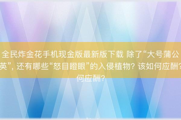 全民炸金花手机现金版最新版下载 除了“大号蒲公英”， 还有哪些“怒目瞪眼”的入侵植物? 该如何应酬?