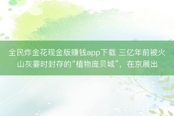 全民炸金花现金版赚钱app下载 三亿年前被火山灰霎时封存的“植物庞贝城”,在京展出